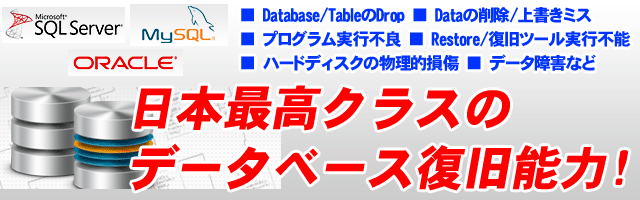 データベース｜札幌パソコンデータ復元堂のハードディスク・USBメモリ・デジカメ・SD・画像・写真の復旧・救出