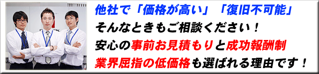 他社で価格が高い・業界屈指の低価格｜札幌パソコンデータ復元堂のハードディスク・USBメモリ・デジカメ・SD・画像・写真の復旧・救出